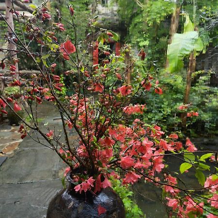 Wuyuan Qiye Yanxiang Guesthouse Extérieur photo